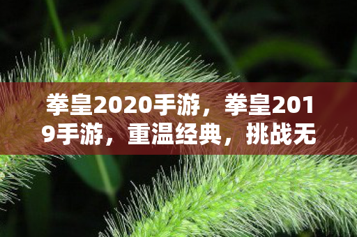 拳皇2020手游，拳皇2019手游，重温经典，挑战无限可能