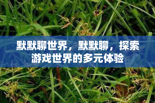 默默聊世界，默默聊，探索游戏世界的多元体验