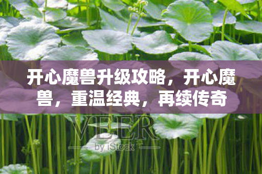 开心魔兽升级攻略，开心魔兽，重温经典，再续传奇