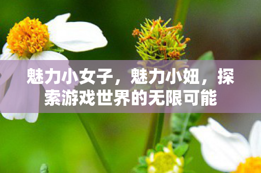 魅力小女子，魅力小妞，探索游戏世界的无限可能