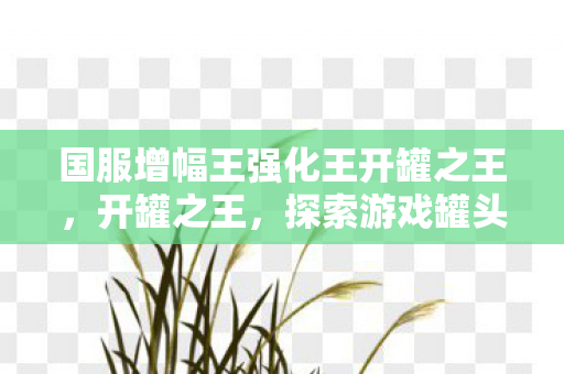 国服增幅王强化王开罐之王，开罐之王，探索游戏罐头的无限可能