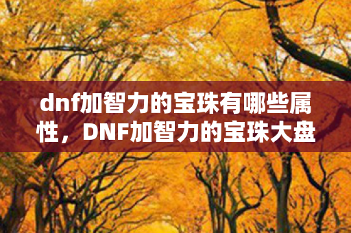 dnf加智力的宝珠有哪些属性，DNF加智力的宝珠大盘点