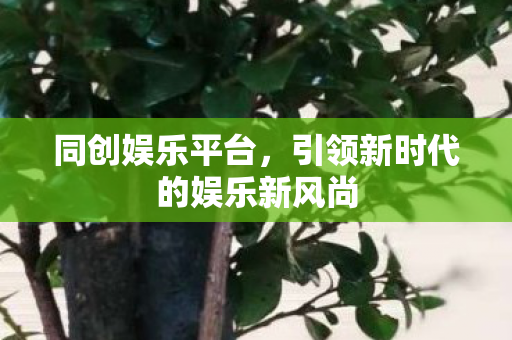 同创娱乐平台,引领新时代的娱乐新风尚 同创娱乐平台,引领新时代的娱乐新风尚