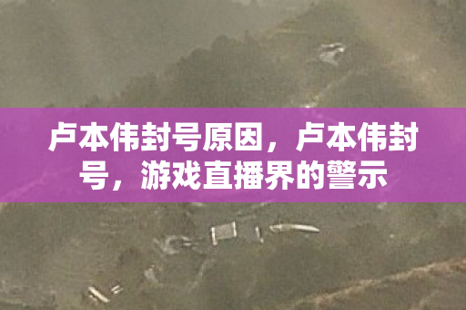 卢本伟封号原因，卢本伟封号，游戏直播界的警示
