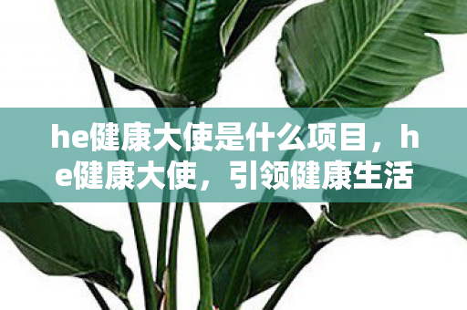 he健康大使是什么项目，he健康大使，引领健康生活新风尚