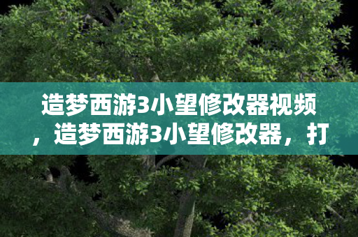 造梦西游3小望修改器视频，造梦西游3小望修改器，打造你的专属游戏世界