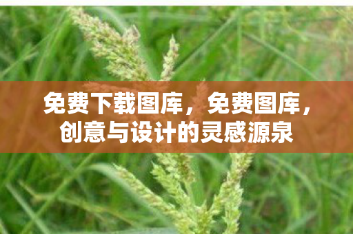 免费下载图库，免费图库，创意与设计的灵感源泉