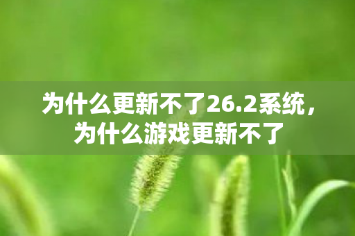 为什么更新不了26.2系统，为什么游戏更新不了