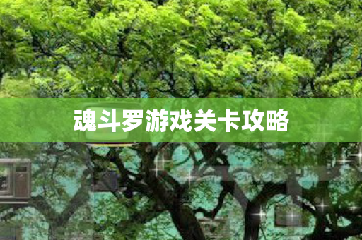魂斗罗游戏关卡攻略 魂斗罗游戏关卡攻略