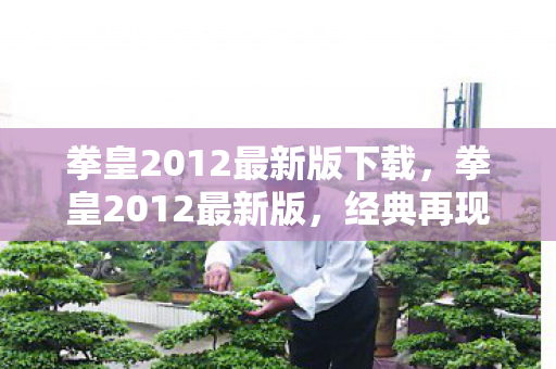 拳皇2012最新版下载，拳皇2012最新版，经典再现，全新体验