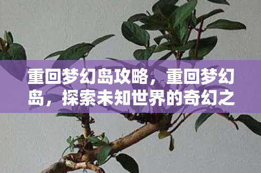 重回梦幻岛攻略，重回梦幻岛，探索未知世界的奇幻之旅