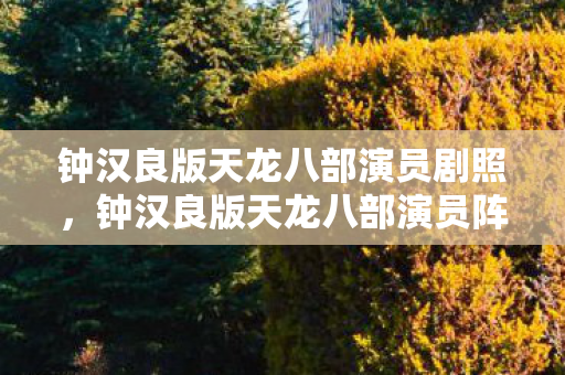 钟汉良版天龙八部演员剧照，钟汉良版天龙八部演员阵容，经典再现，演技与颜值并存