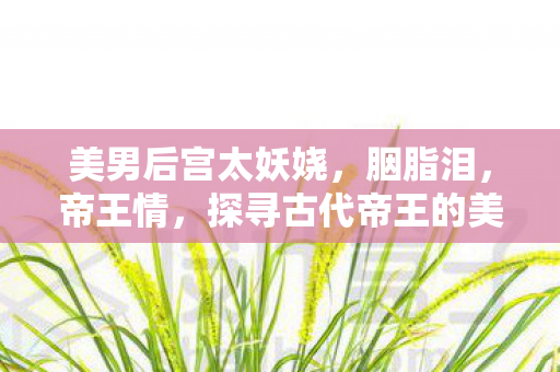 美男后宫太妖娆，胭脂泪，帝王情，探寻古代帝王的美男后宫