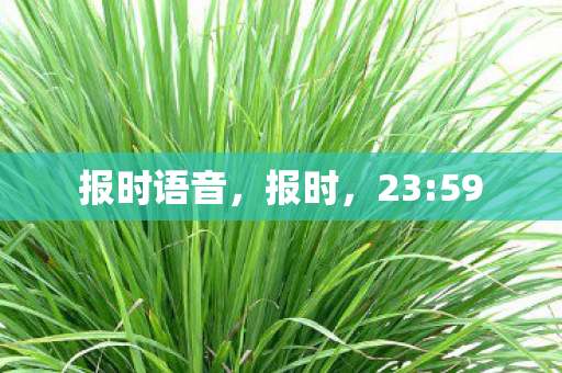 报时语音，报时，23:59