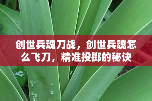 创世兵魂刀战，创世兵魂怎么飞刀，精准投掷的秘诀