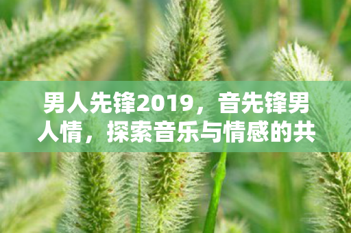 男人先锋2019，音先锋男人情，探索音乐与情感的共鸣