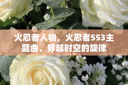 火忍者人物，火忍者553主题曲，穿越时空的旋律