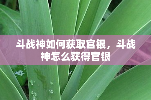 斗战神如何获取官银，斗战神怎么获得官银