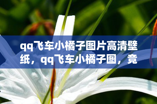 qq飞车小橘子图片高清壁纸，qq飞车小橘子图，竞速世界中的灵动身影