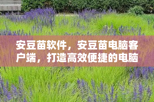 安豆苗软件，安豆苗电脑客户端，打造高效便捷的电脑管理新体验