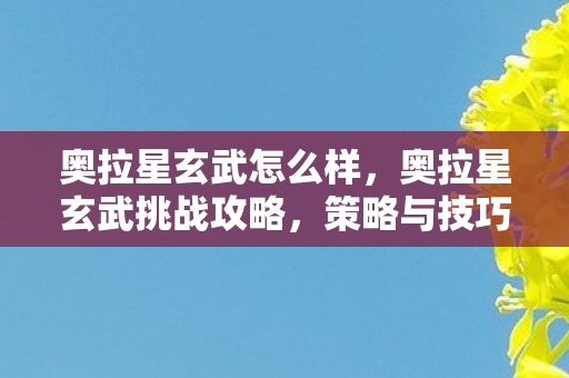 奥拉星玄武怎么样，奥拉星玄武挑战攻略，策略与技巧详解