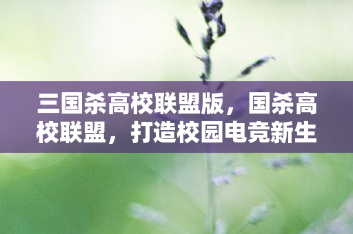 三国杀高校联盟版，国杀高校联盟，打造校园电竞新生态