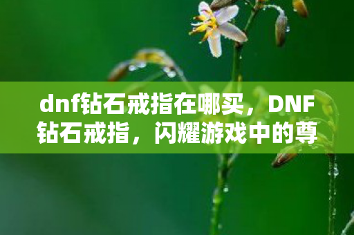 dnf钻石戒指在哪买，DNF钻石戒指，闪耀游戏中的尊贵象征