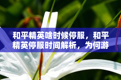 和平精英啥时候停服，和平精英停服时间解析，为何游戏需要定期维护？
