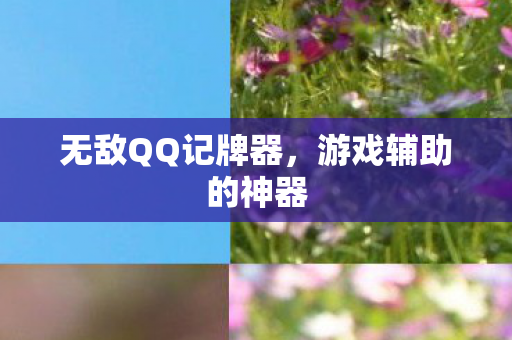 无敌QQ记牌器，游戏辅助的神器