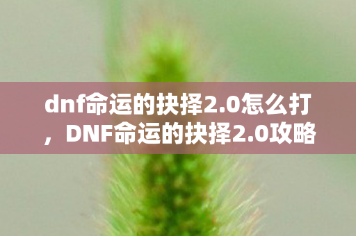 dnf命运的抉择2.0怎么打，DNF命运的抉择2.0攻略，打造最强角色的关键步骤