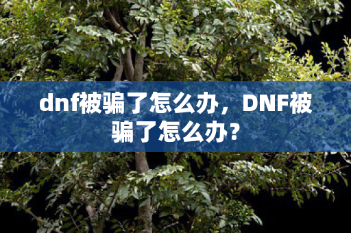 dnf被骗了怎么办，DNF被骗了怎么办？