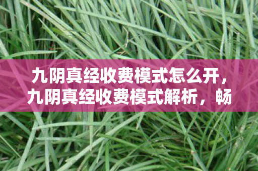 九阴真经收费模式怎么开，九阴真经收费模式解析，畅游江湖的代价