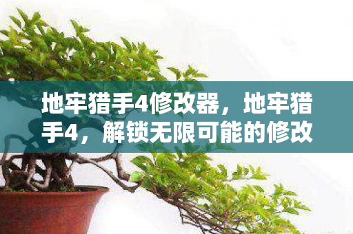地牢猎手4修改器，地牢猎手4，解锁无限可能的修改之旅