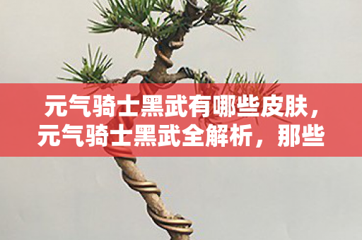 元气骑士黑武有哪些皮肤，元气骑士黑武全解析，那些令人惊艳的冷门武器