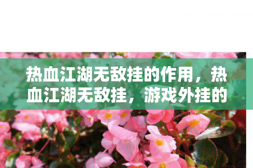 热血江湖无敌挂的作用，热血江湖无敌挂，游戏外挂的灰色阴影