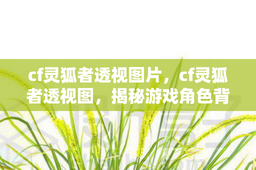 cf灵狐者透视图片，cf灵狐者透视图，揭秘游戏角色背后的设计奥秘