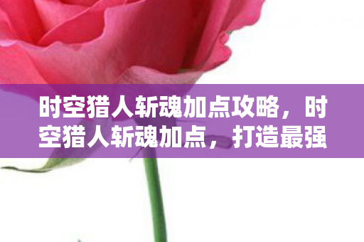 时空猎人斩魂加点攻略，时空猎人斩魂加点，打造最强战斗力的关键