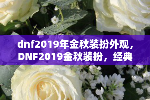 dnf2019年金秋装扮外观，DNF2019金秋装扮，经典再现，时尚与战斗的双重盛宴