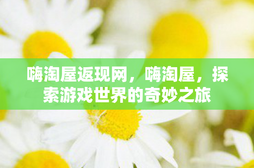 嗨淘屋返现网，嗨淘屋，探索游戏世界的奇妙之旅