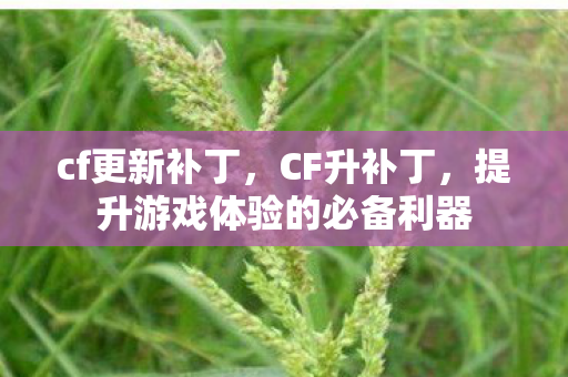 cf更新补丁，CF升补丁，提升游戏体验的必备利器