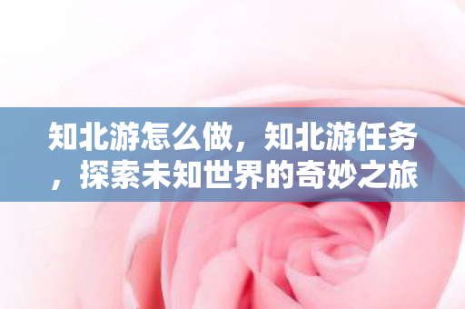 知北游怎么做，知北游任务，探索未知世界的奇妙之旅