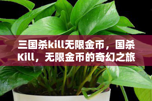三国杀kill无限金币，国杀Kill，无限金币的奇幻之旅