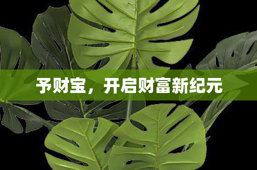 予财宝，开启财富新纪元