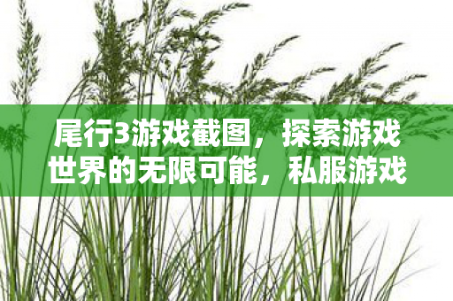 尾行3游戏截图，探索游戏世界的无限可能，私服游戏的魅力与争议