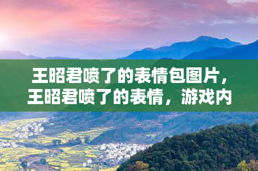 王昭君喷了的表情包图片，王昭君喷了的表情，游戏内外的喷与不喷