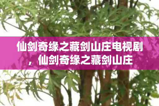 仙剑奇缘之藏剑山庄电视剧，仙剑奇缘之藏剑山庄