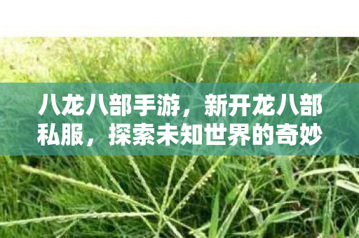八龙八部手游，新开龙八部私服，探索未知世界的奇妙之旅