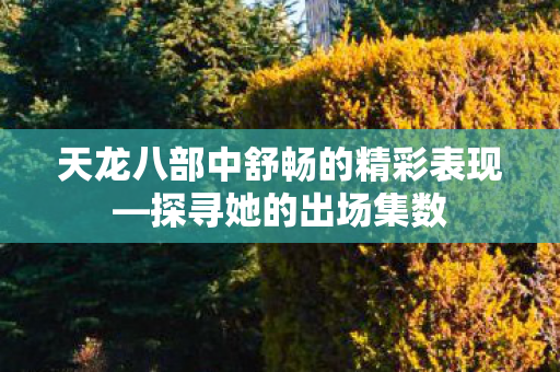 天龙八部中舒畅的精彩表现—探寻她的出场集数