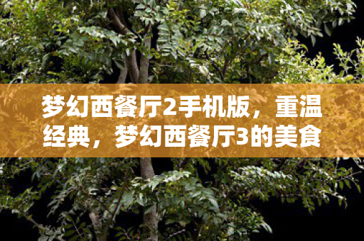 梦幻西餐厅2手机版，重温经典，梦幻西餐厅3的美食之旅