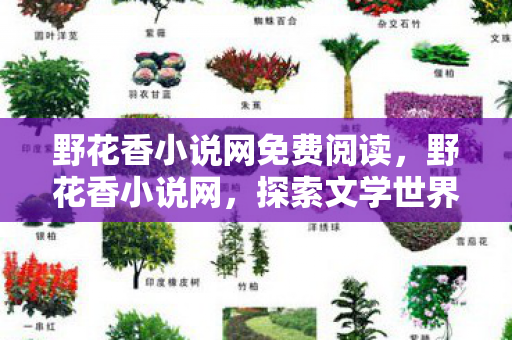 野花香小说网免费阅读，野花香小说网，探索文学世界的奇妙之旅